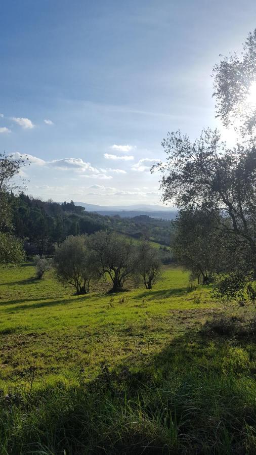 Apartment Villore - Sweet Tuscany